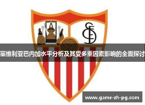 塞维利亚巴内加水平分析及其受多重因素影响的全面探讨