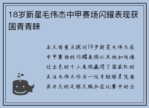 18岁新星毛伟杰中甲赛场闪耀表现获国青青睐